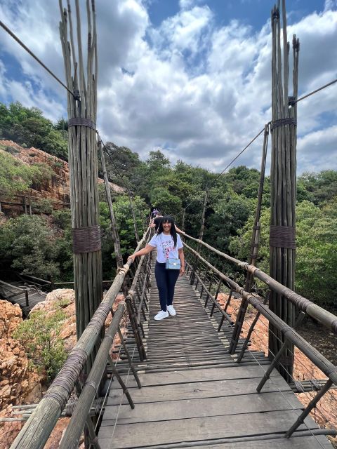 Johannesburg: Elephant and Monkey Sanctuary Half Day Tour