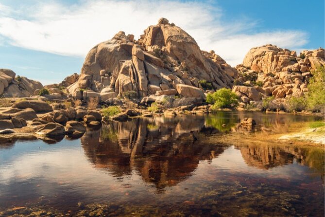 Joshua Tree National Park Driving Tour Review
