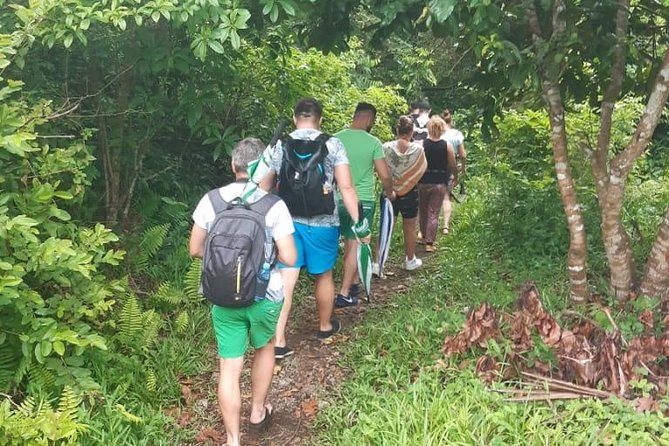 Jozani Forest Tour