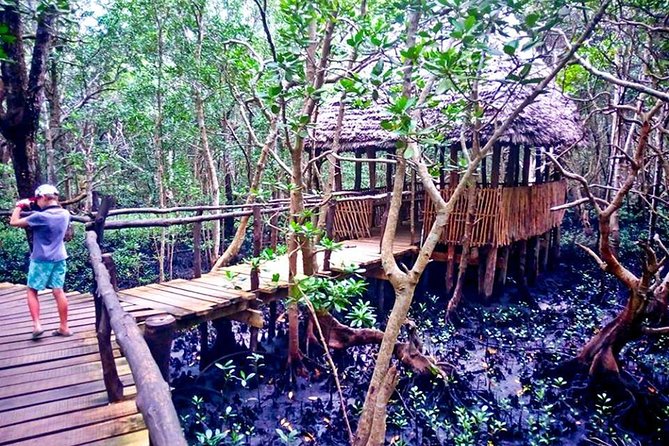 Jozani Forest