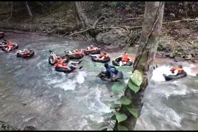 Jump and Tube – Blue Hole and Tubing From Ocho Rios