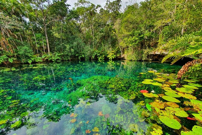 Jungle Bike Adventure Private Tour From Tulum