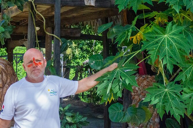 Jungle Safari Excursion