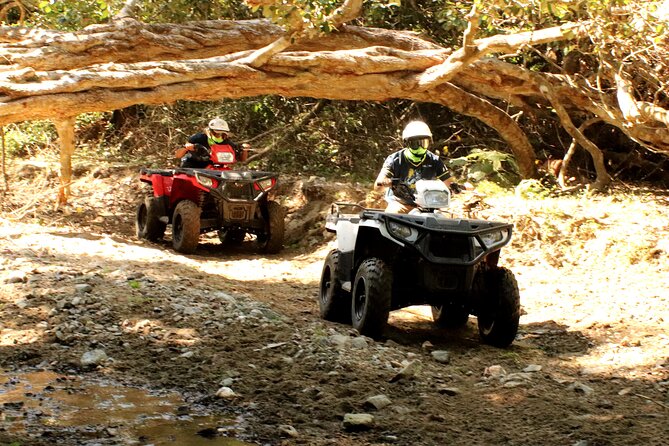 Jungle Single ATV Tour El Mirador