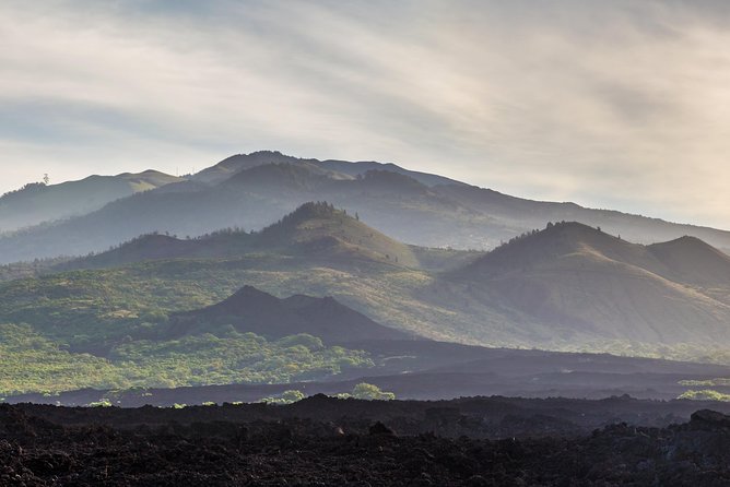 Kahului Shore Excursion: Private Tropics of Maui & Rainforest