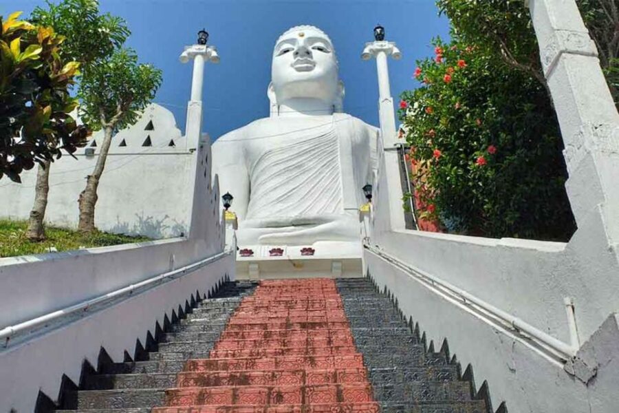 16 Best Tours In Kitulgala