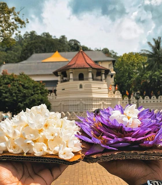 Kandy: Sightseeing Tour by Tuk Tuk Morning or Evening - Tour Overview