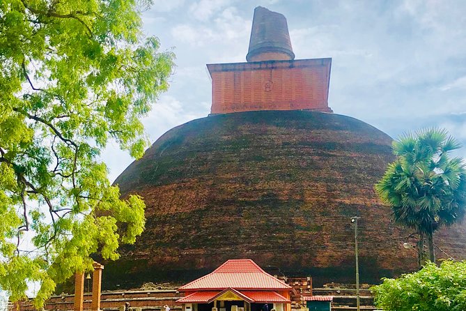 Kandy to Polonnaruwa Day Tour
