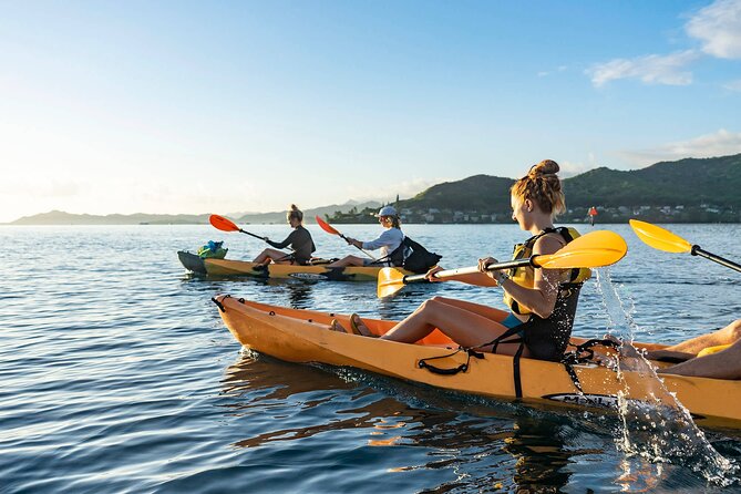 Kaneohe Bay Coral Reef Kayak Tour Review