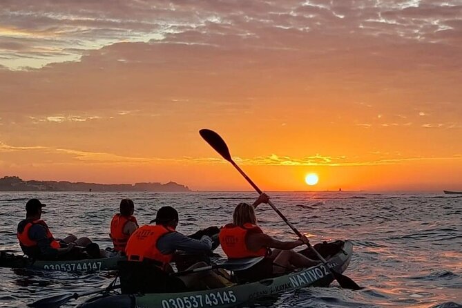 Kayak and Snorkel Tour at Pelican Rock - Inclusion Details