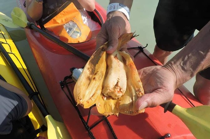 Kayak Biosphere Reserve Sunset Tour - Itinerary and Experience