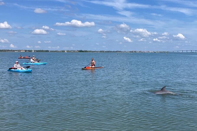 Kayak Rentals