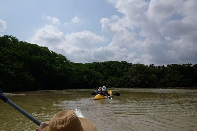 Kayak Through Mangroves to Secret Beach