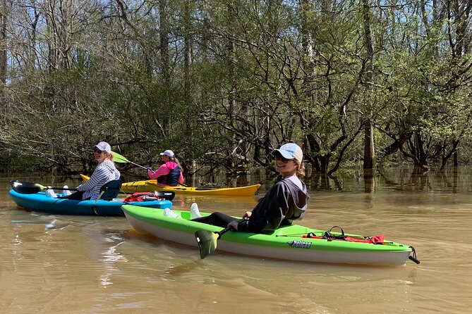 Kayak Tour Of The Honey Island Swamp and Backwaters