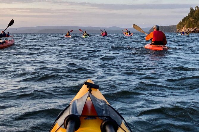 Kayaking With First Nations Storytellers - What to Expect
