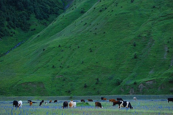 Kazbegi Adventure – Private Day Trip From Tbilisi With a Dinner + Masterclass