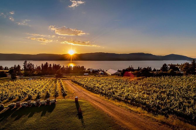 Kelowna Wine, Vines and Distillery Tasting Tour