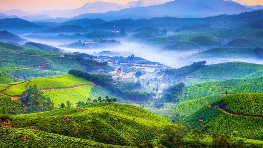 Kerala: 03 Nights/04 Days Cochin & Munnar Hill Station Tour
