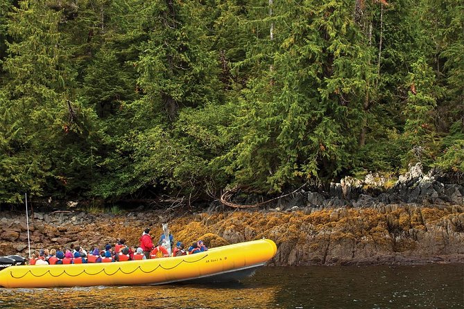Ketchikan Rainforest Island and Boat Adventure - Accessibility and Participation