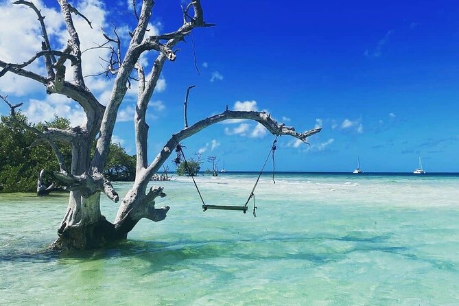 Key West Sandbar Charter Review