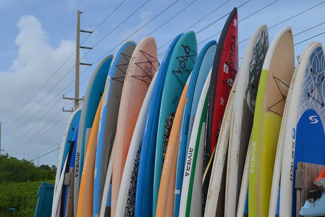 Key West Stand Up Paddleboard Rental