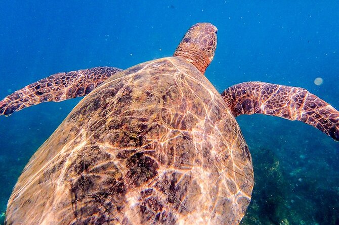 Kicker Rock Day Trip From San Cristobal: Snorkeling & Wildlife - Questions About Your Stay