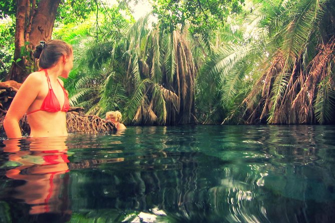 Kikuletwa Hot-spring