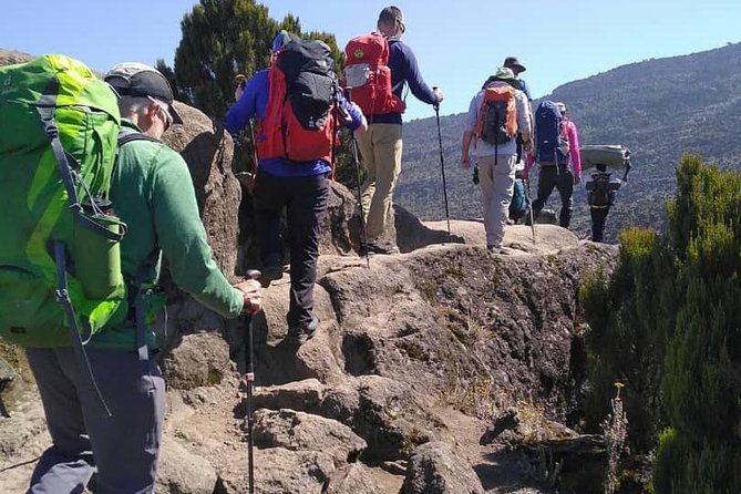 Kilimanjaro Climb- Lemosho Route