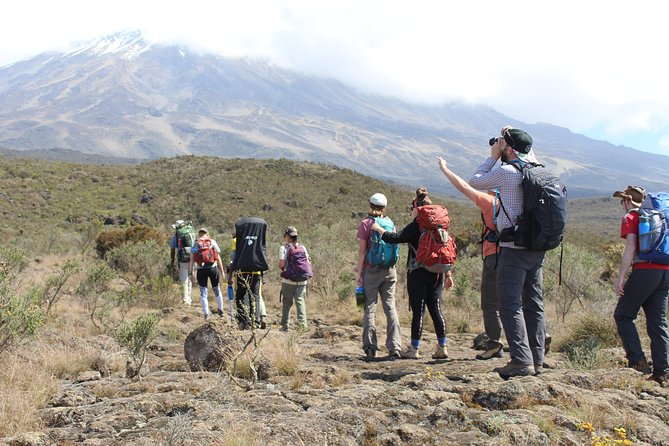Kilimanjaro Lemosho Route 7 Days