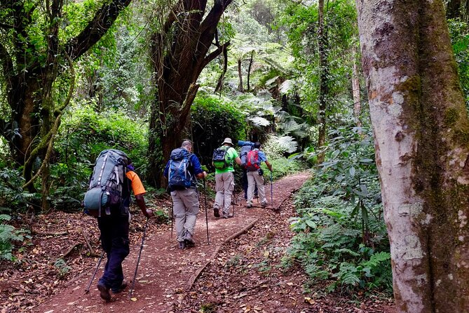 Kilimanjaro Private 2 Days Hiking Tour