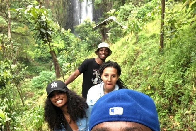 Kilimanjaro Waterfalls Hike & Moshi Hot Springs Day Trip Tour