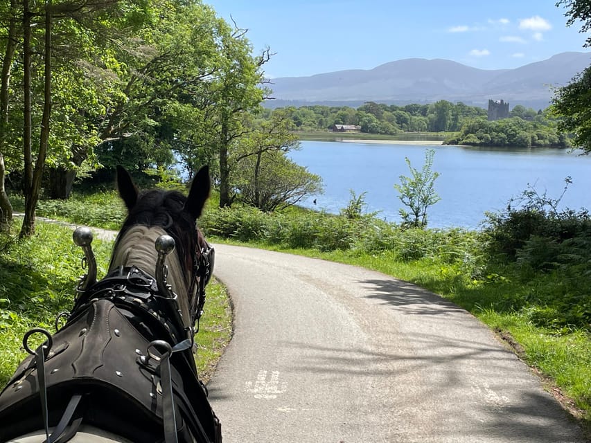 Killarney Carriage Tours National Park and Lakes