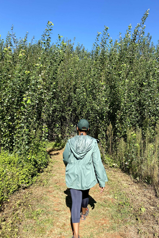 Klipriviersberg Nature Reserve 10km Hike
