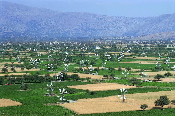 Knossos & Lasithi Plateau Villages,Zeuss Land,&Olive Oil Factory