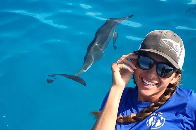 Kona: 3 Hour Dolphin Watch, Reef Snorkel, & BBQ Lunch - Tour Highlights and Inclusions