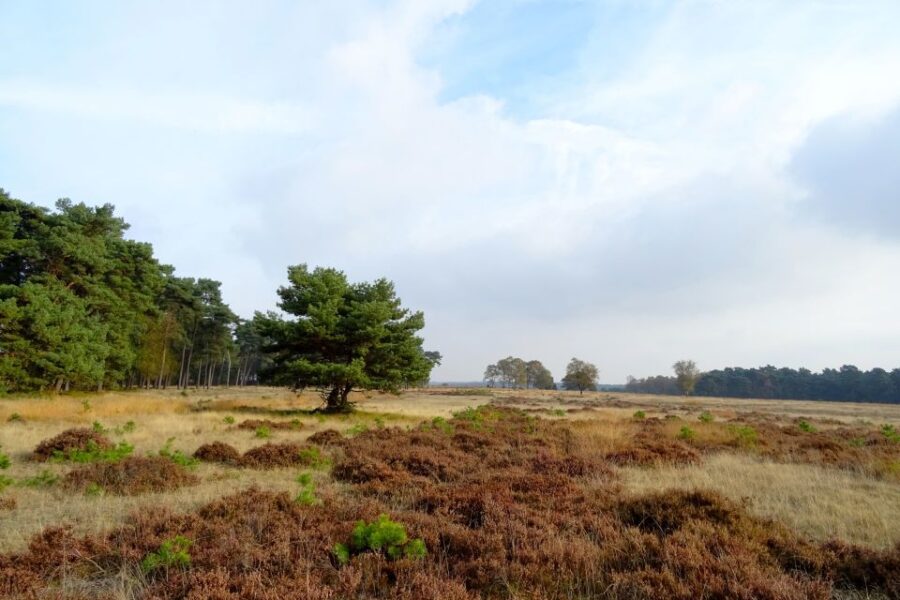 3 Best National Park Tours In Amsterdam