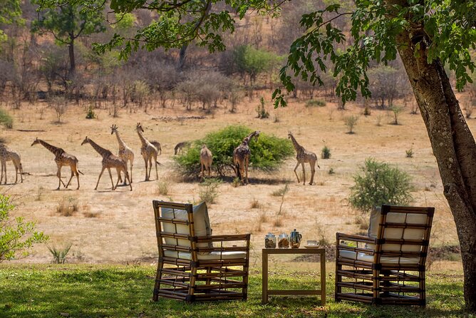 Kruger National Park Best Tour