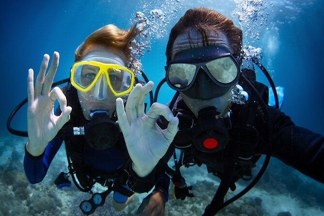 Kusadasi Scuba Diving - Overview of the Scuba Diving Experience