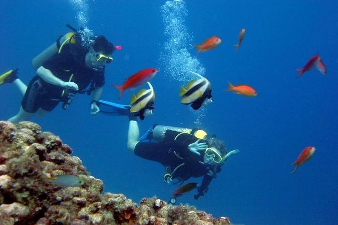 Kusadasi Scuba Diving