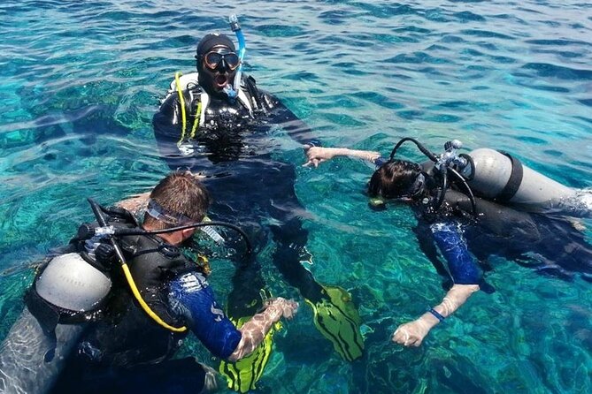 Kusadasi Scuba Diving Tour By Local Experts