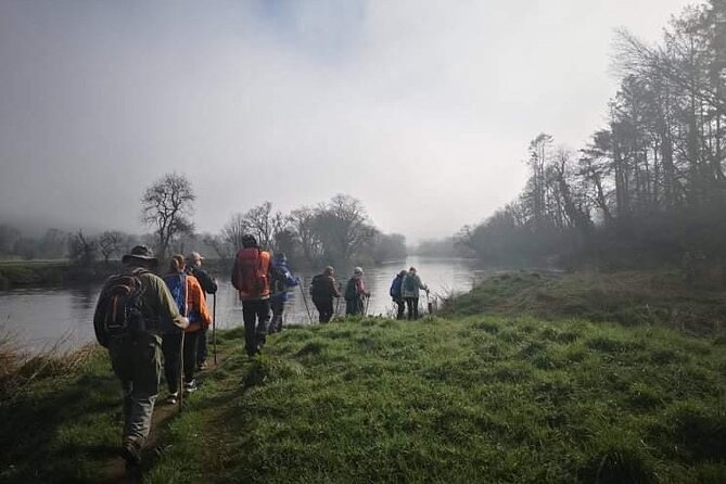 3 Best Guided Tours In South East Ireland