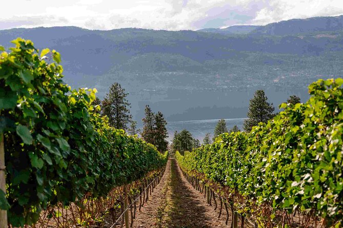 Lake Country Wineries Tour
