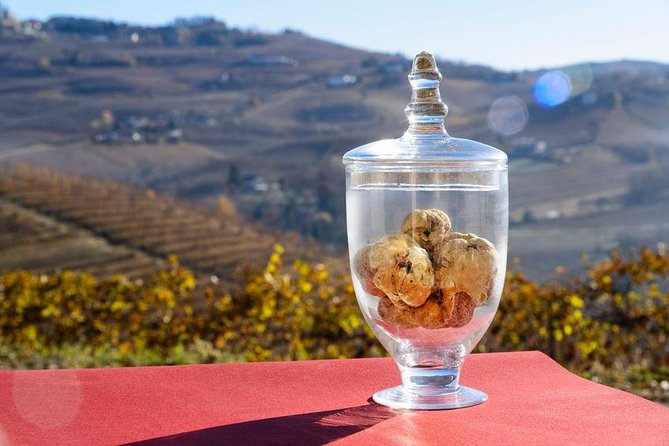 Langhe: Alba & Barolo