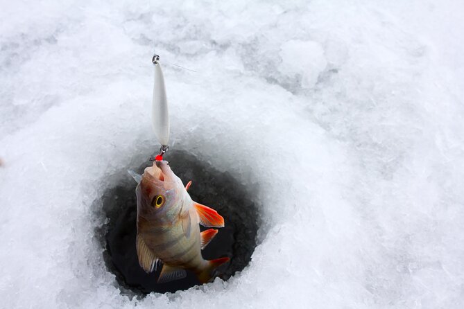 Lapland Ice Fishing Experience From Rovaniemi
