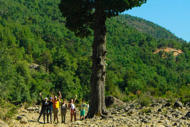 Las Animas Waterfall Tour