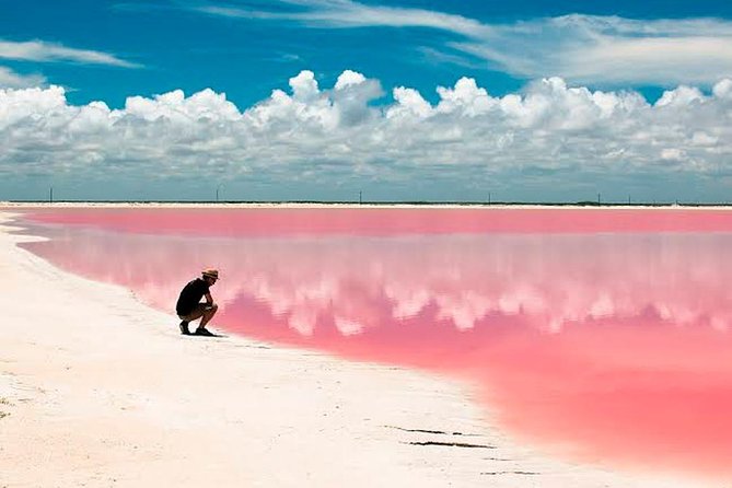 Las Coloradas Tour! Boat Ride, Lunch & Rio Lagartos From Cancun