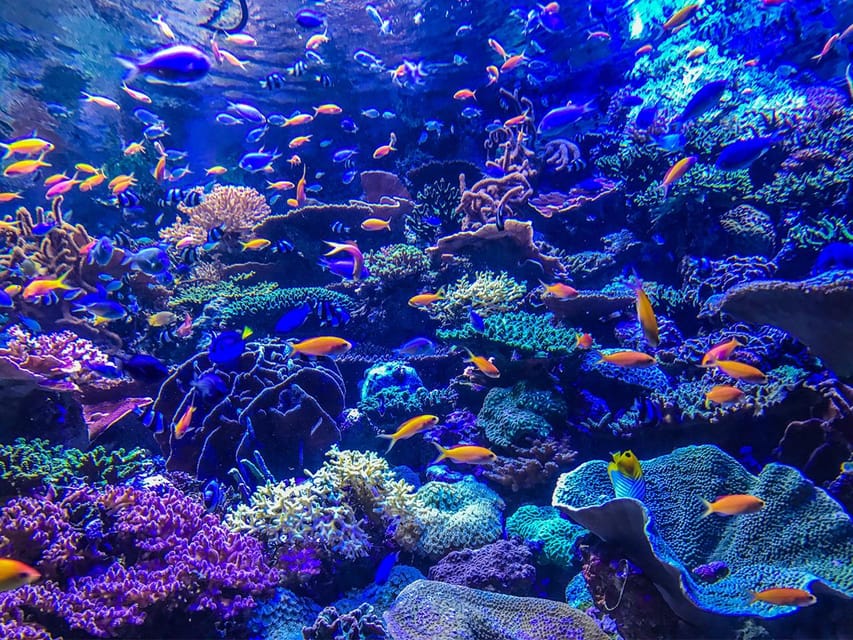 6 Best Tours In Lembongan