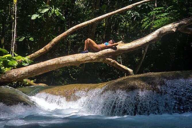 Lethe River Bamboo Rafting & Mayfield Falls With Lunch & Drink - Tour Highlights