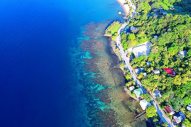 Lets Go Native Roatan City Cultural Tour, Transfer - Tour Highlights