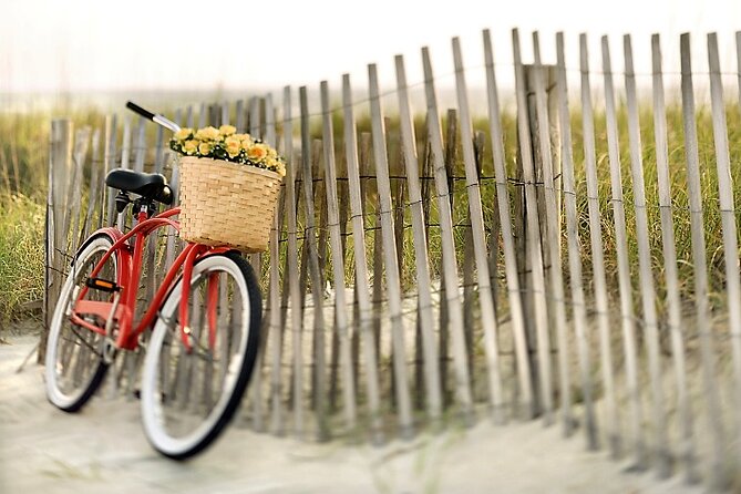 Lido Bike Tour: With a Local on the Island of Cinema - Tour Overview